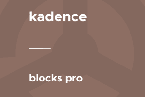 Kadence Theme Pro addon v1.1.19 优雅简约美风格多用途WordPress主题拓展下载