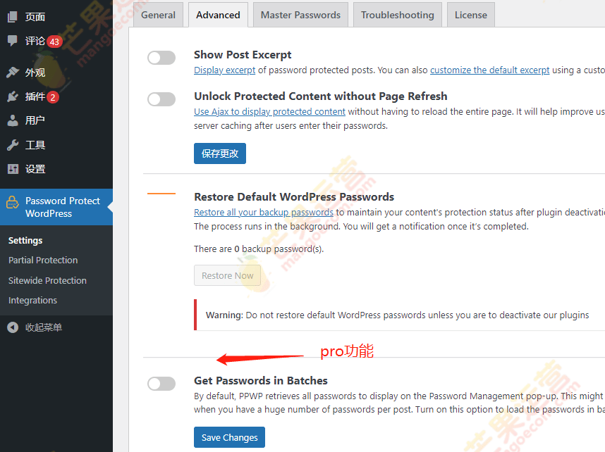 Password Protect WordPress Pro密码保护插件下载