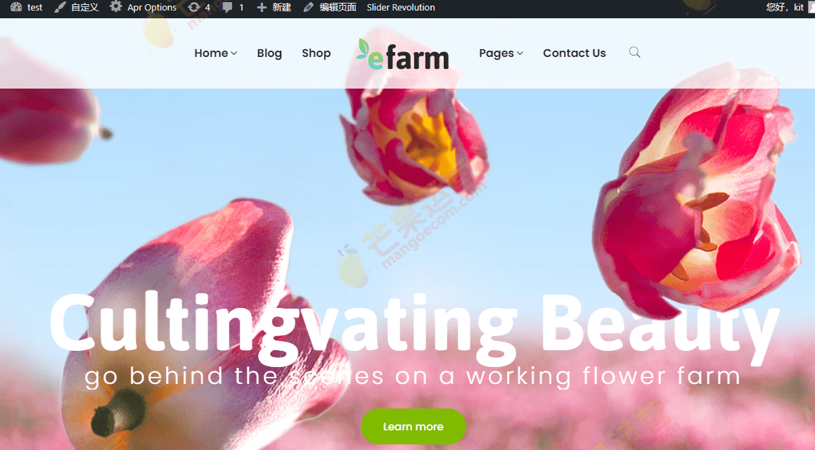 eFarm 多用途食品和农场 WordPress 主题破解版免费下载