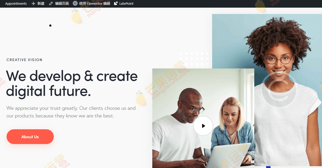 Qwery 多功能商务WordPress RTL主题破解版免费下载