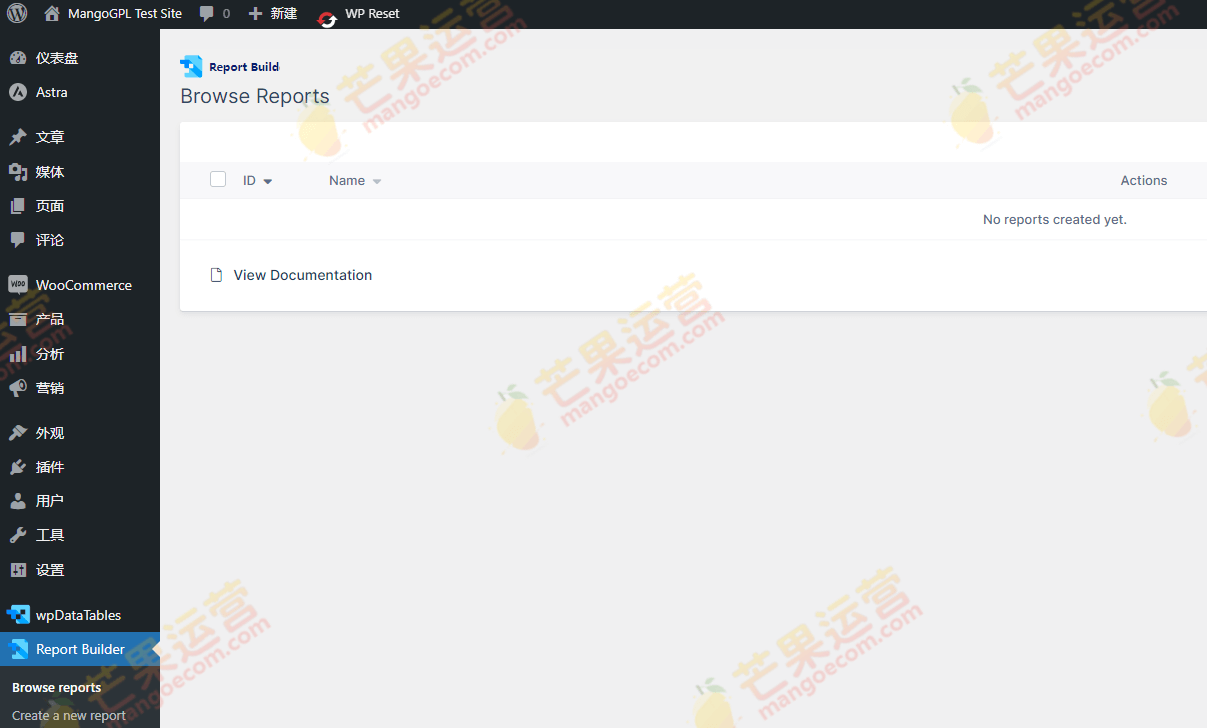 Report Builder for wpDataTables  数据报表插件破解版下载