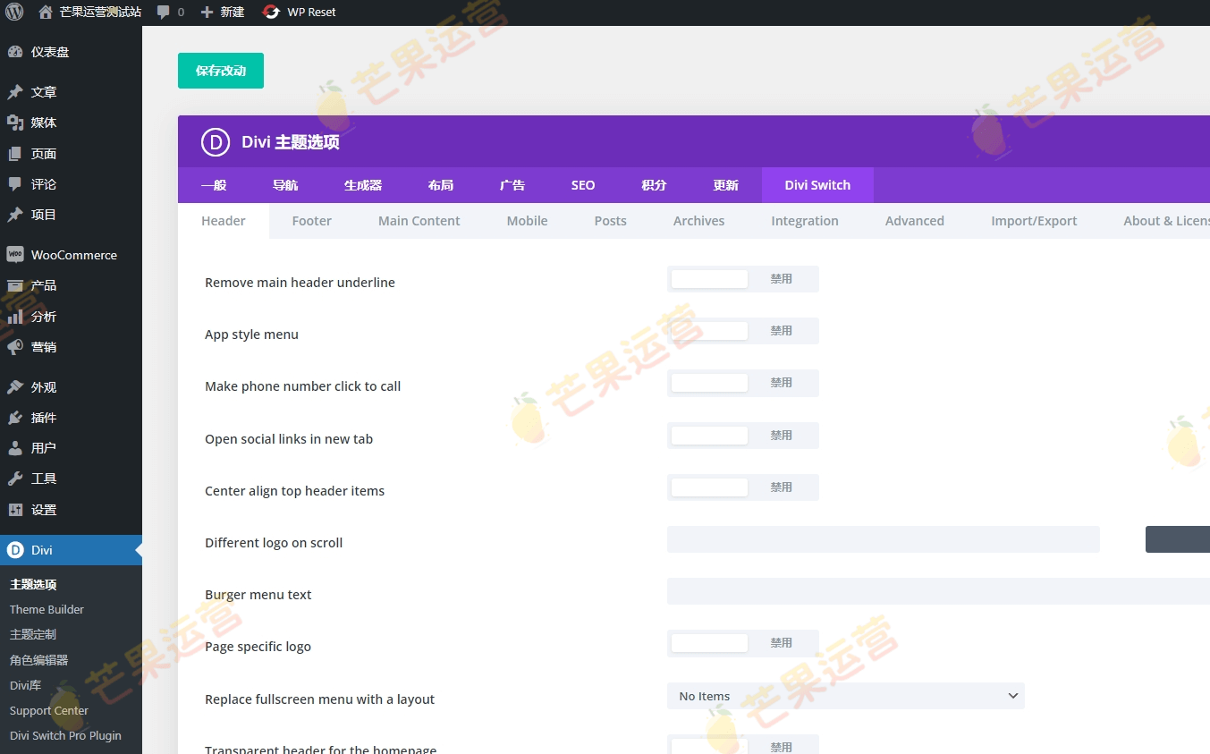 Divi Switch Pro GPL 插件破解版下载