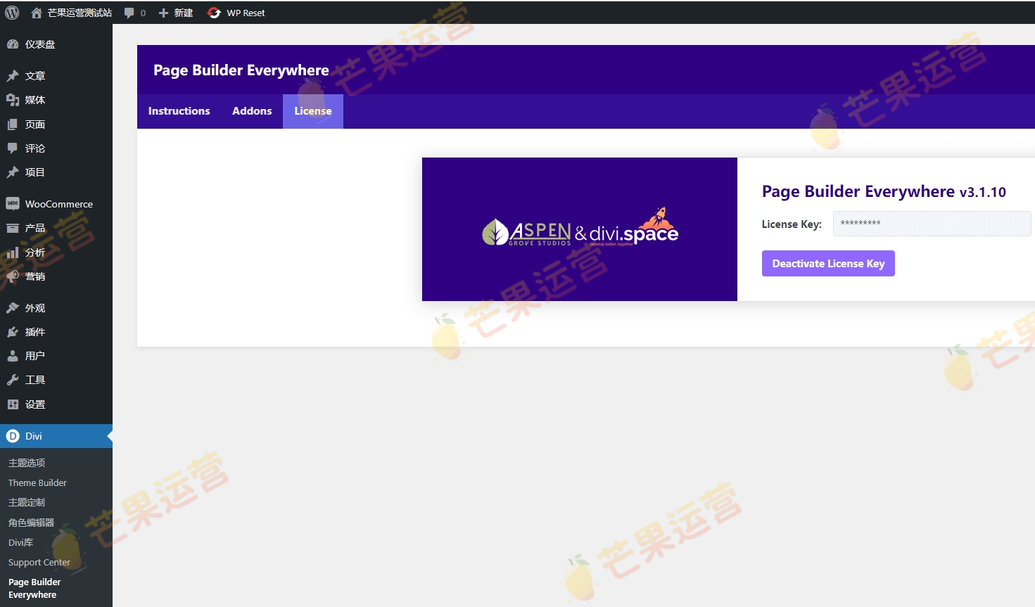 Divi Page Builder Everywhere 插件破解版下载