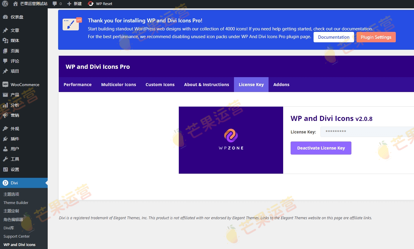 WP and Divi Icons Pro WordPress网站图标插件破解版下载