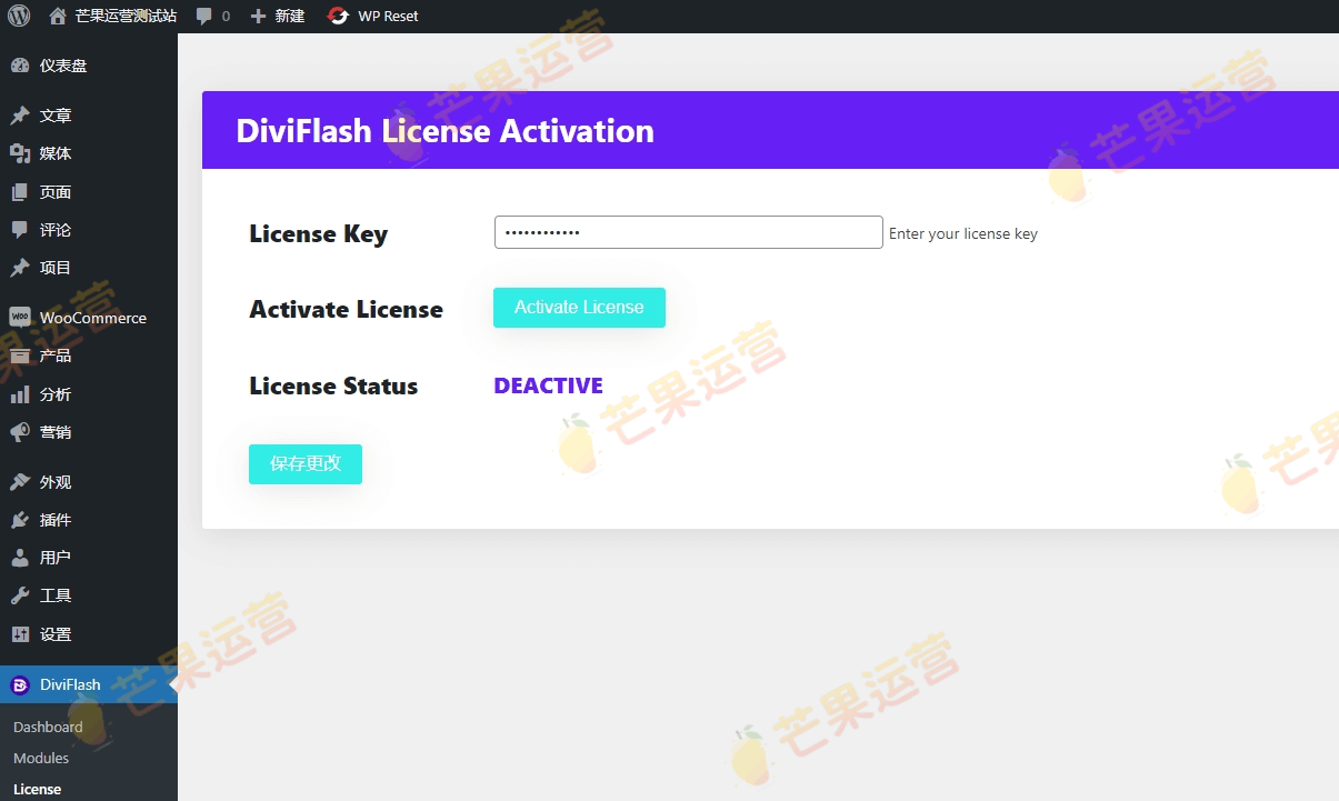 DiviFlash 一个 Divi 模块插件破解版下载