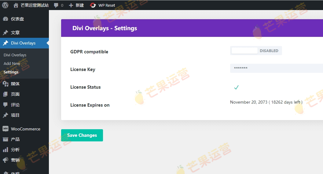 Divi Overlays 弹窗插件破解版下载