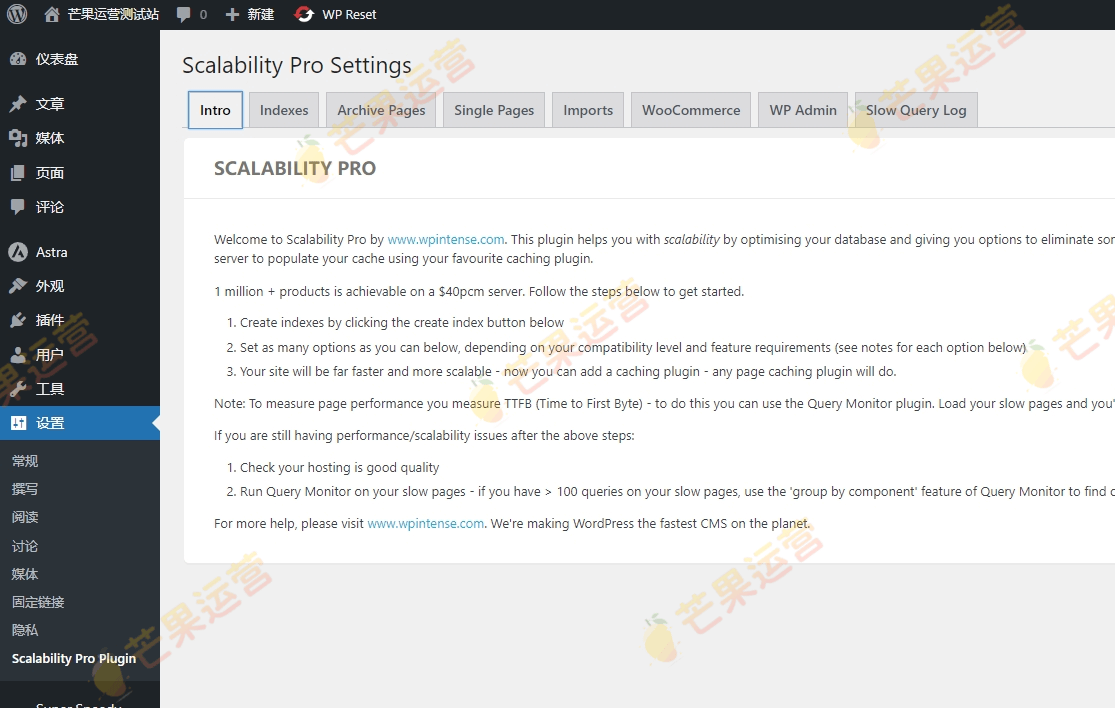 Scalability Pro 网站优化插件破解版下载