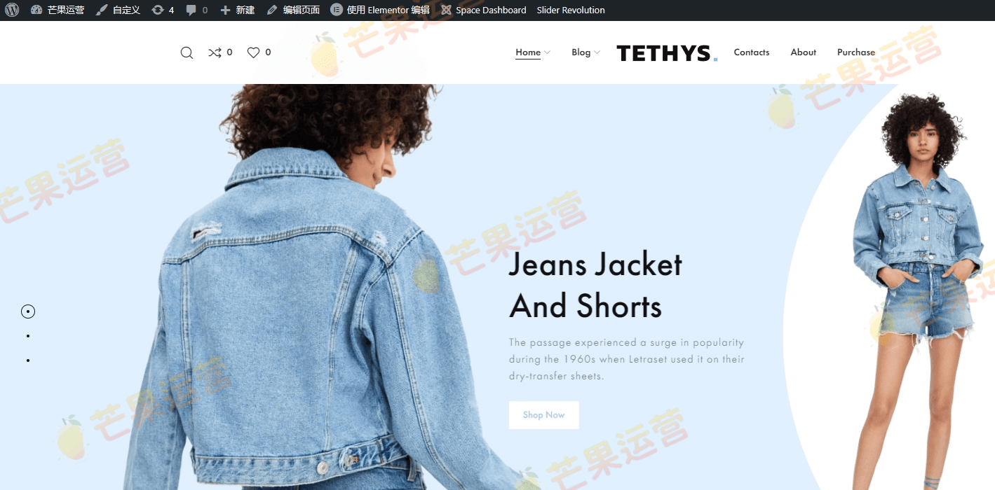 Tethys 电子商务时尚和极简主义主题模板破解版下载