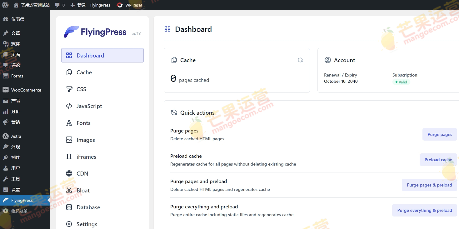 FlyingPress 将 WordPress 推向新高度插件破解版下载