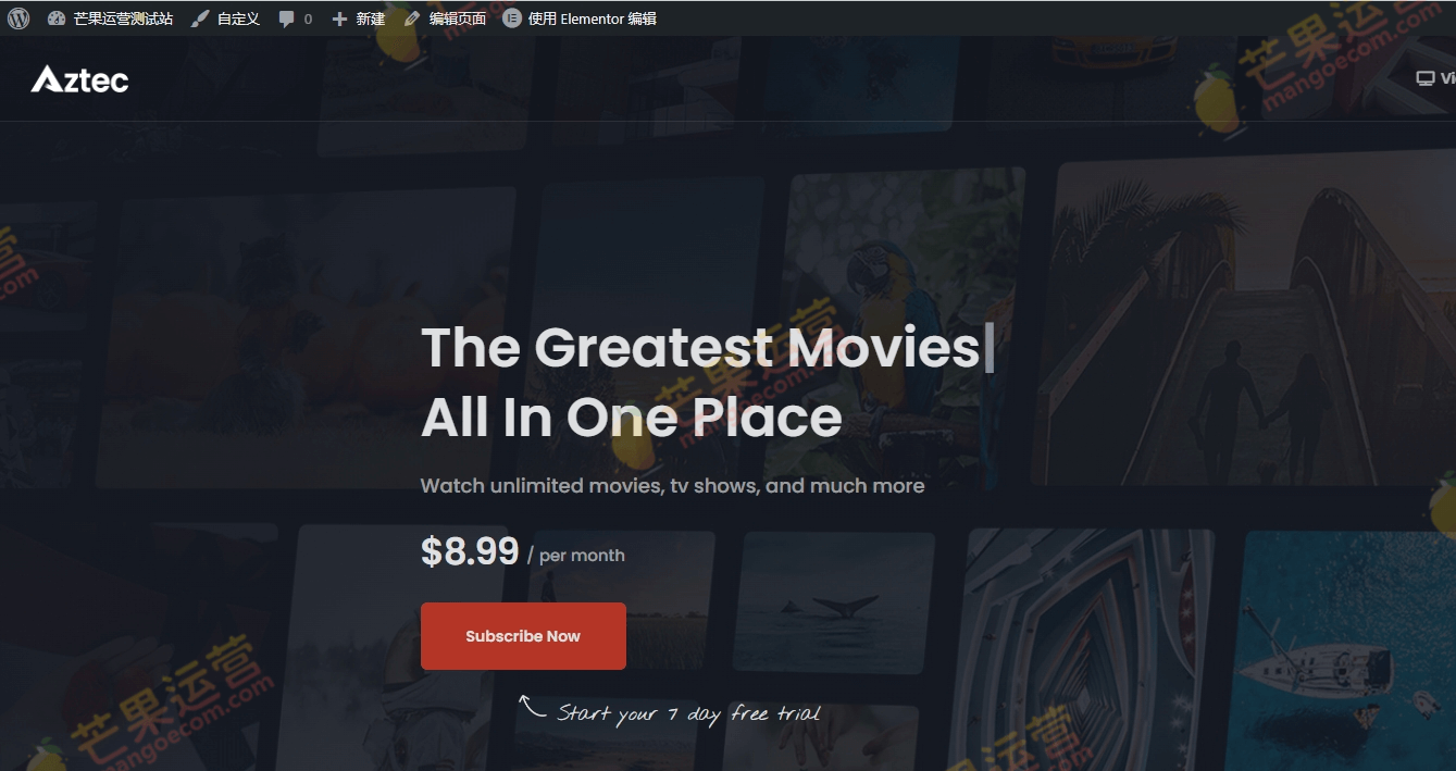 Aztec 视频流和会员主题破解版下载