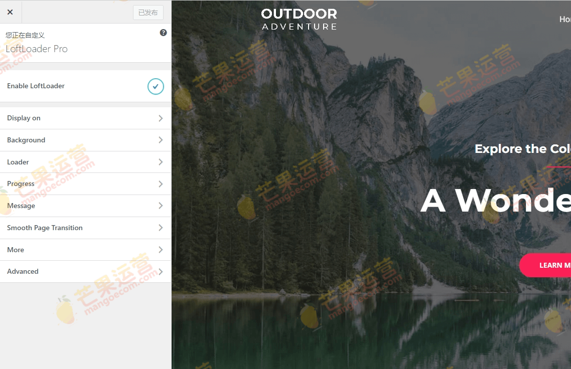 LoftLoader Pro WordPress 预加载器插件破解版下载