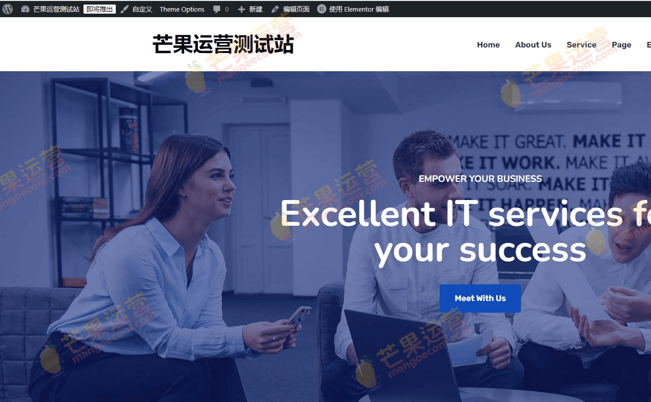 Restly  IT 解决方案和技术 WordPress 主题破解版下载